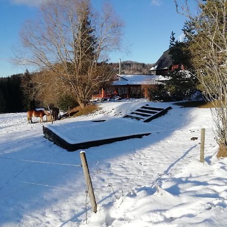Penzion Farma U Mauritzu Stožec Εξωτερικό φωτογραφία